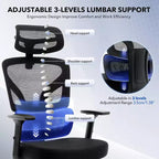 Sedia da ufficio ergonomica con supporto lombare regolabile, sedia da scrivania in rete con schienale alto, sedia girevole da computer con ruote per casa/ufficio